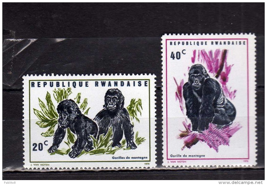 RWANDA 1970 MOUNTAIN GORILLA MONKEYS MONKEY - GORILLES - GORILLA DI MONTAGNA SCIMMIE SCIMMIA MNH - Nuovi