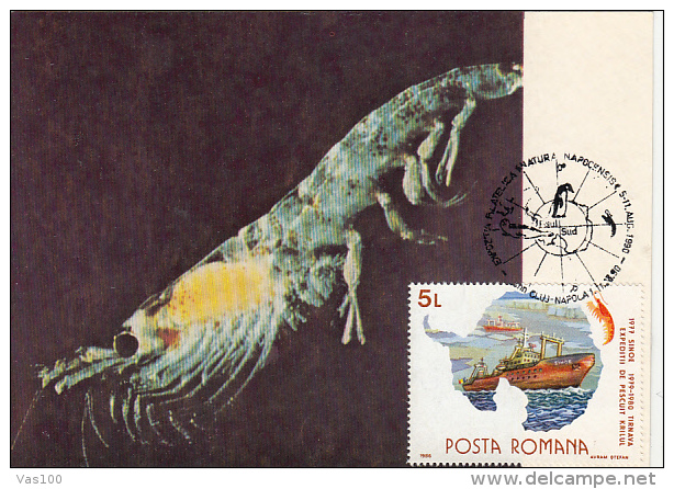 ANTARCTIC WILDLIFE, ANTARCTIC KRILL, CM, MAXICARD, CARTES MAXIMUM, 1990, ROMANIA - Antarctische Fauna