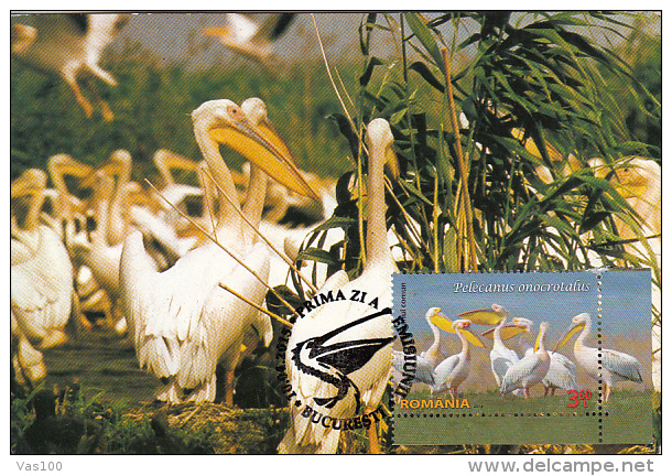 BIRDS, PELICANS, CM, MAXICARD, CARTES MAXIMUM, OBLIT FDC, 2015, ROMANIA - Pélicans