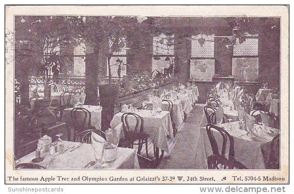 New York City Colaizzi's Restaurant Interior Famous Apple Tree And Olympian Garden 1909 - Bars, Hotels & Restaurants