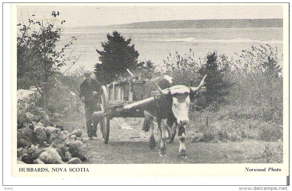Hubbards, Nova Scotia  Norwood Photo RPPC - Autres & Non Classés