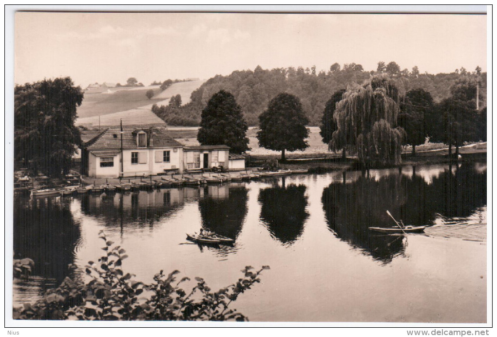 Germany Deutschland, Frankenberg, Schilfteich - Frankenberg