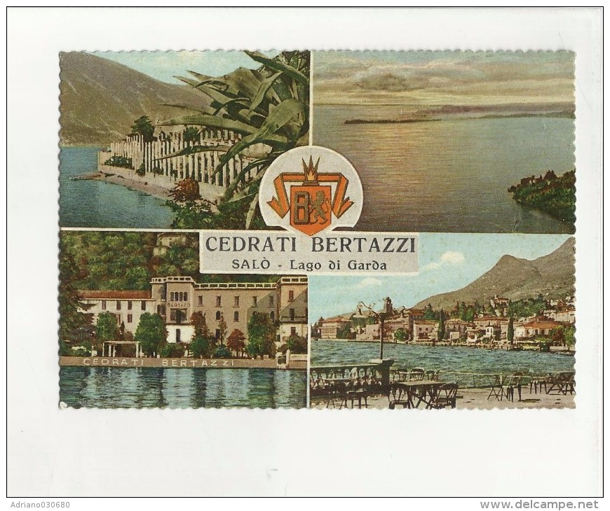 94770 Salo' Lago Di Garda  Cedrati Bertazzi  Cedraie Del Garda - Werbepostkarten