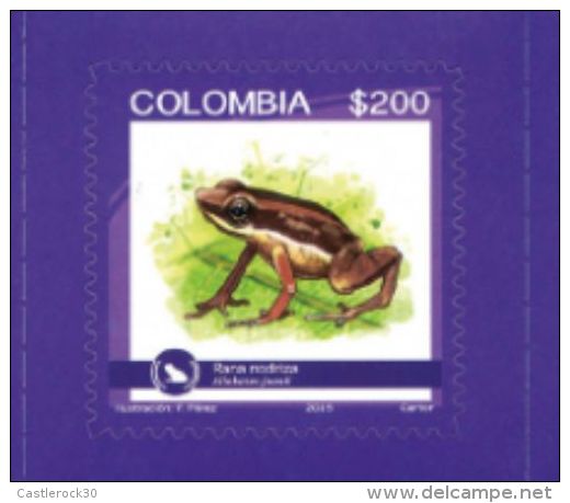 O)2015 COLOMBIA, FROG, ENDEMIC BIODIVERSITY ENDANGERED, RANA NODRIZA-ALLOBATES JUANII, STICKR-ADHESIVE, XF - Colombia