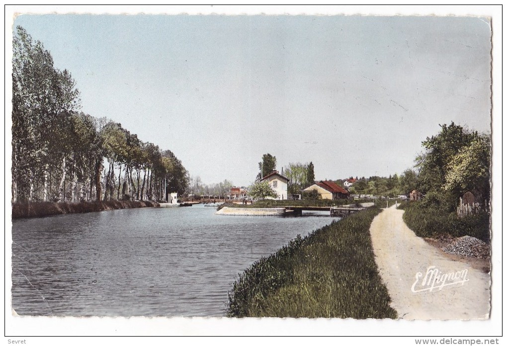 CHATILLON  - COLIGNY  - Les Bords Du Canal. CPSM  9x14. - Autres & Non Classés