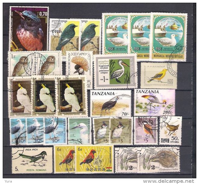 Lot 141 Birds 2 Scans 51 Different - Other & Unclassified