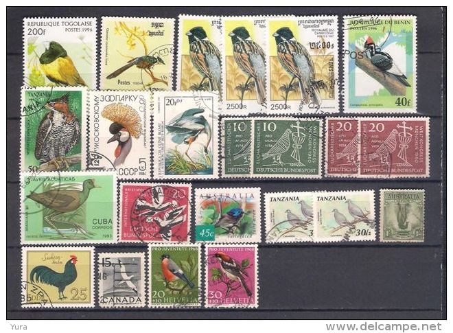 Lot 141 Birds 2 Scans 51 Different - Other & Unclassified