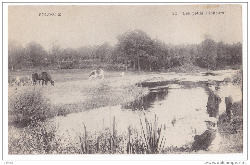 SOLOGNE  - Les Petits Pêcheurs. - Andere & Zonder Classificatie