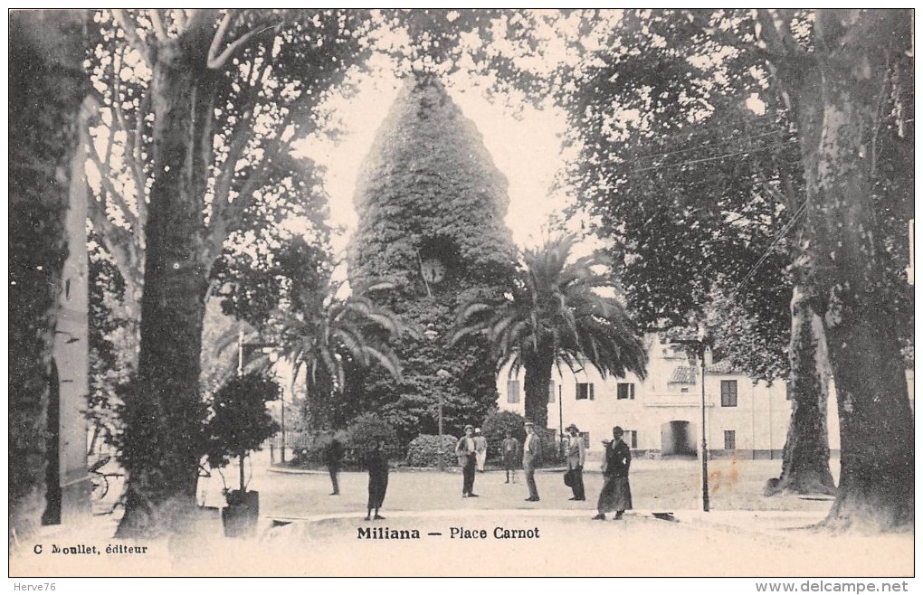 ALGERIE - MILIANA - Place Carnot - Other & Unclassified