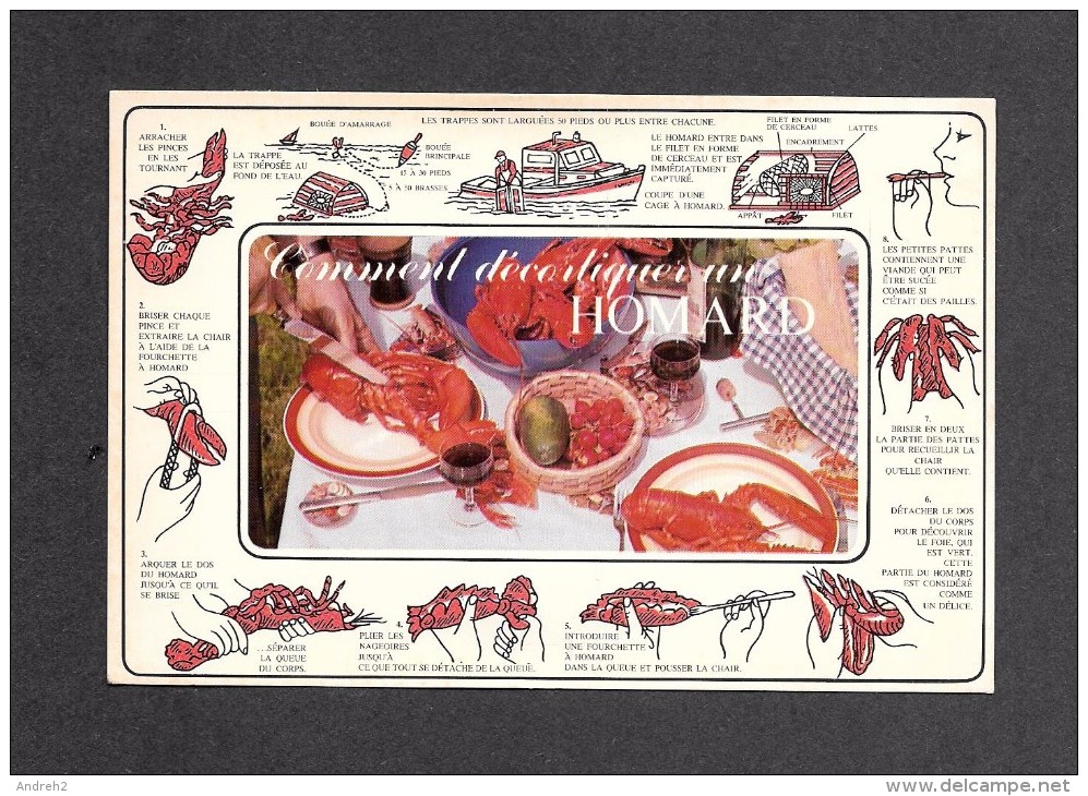 RECETTES CUISINE - RESTAURANT CAPITAINE HOMARD STE FLAVIE  COOKING RECIPES - DÉCORTIQUER UN HOMARD - HOW Shell A LOBSTER - Recettes (cuisine)