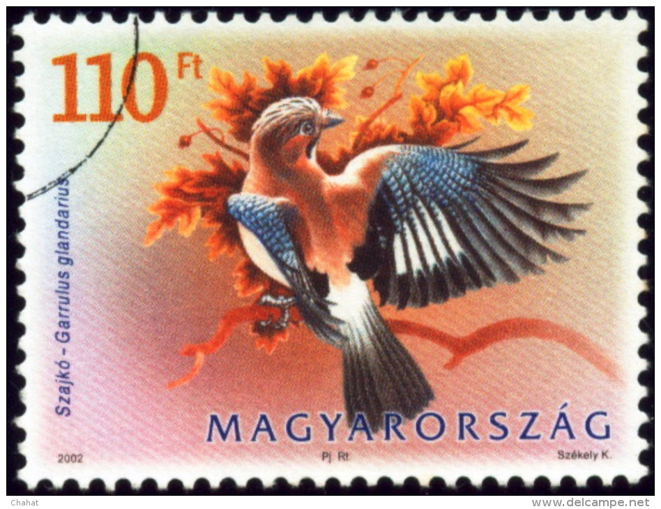 BIRDS-EURASIAN JAY-SPECIMEN-HUNGARY-2002-SCARCE-MNH-B8-98 - Pics & Grimpeurs