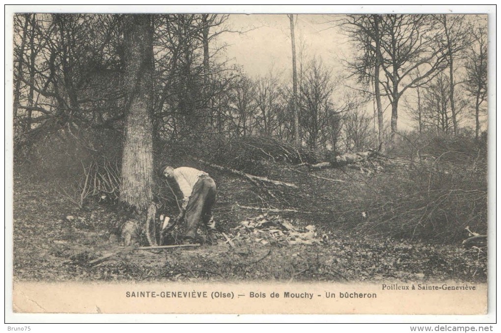 60 - SAINTE-GENEVIEVE - Bois De Mouchy - Un Bücheron - Sainte-Geneviève
