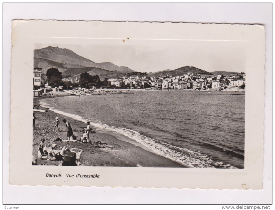 CPM PHOTO TYPE TABLEAU DPT 66 BANYULS En 1956!! - Banyuls Sur Mer