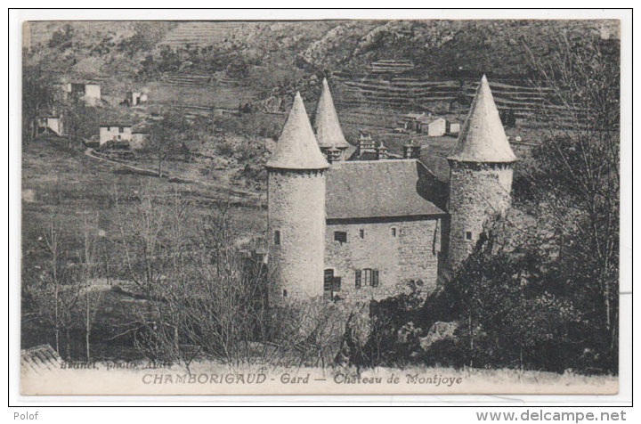 CHAMBORIGAUD - Chateau De Montjoye     (81344) - Chamborigaud