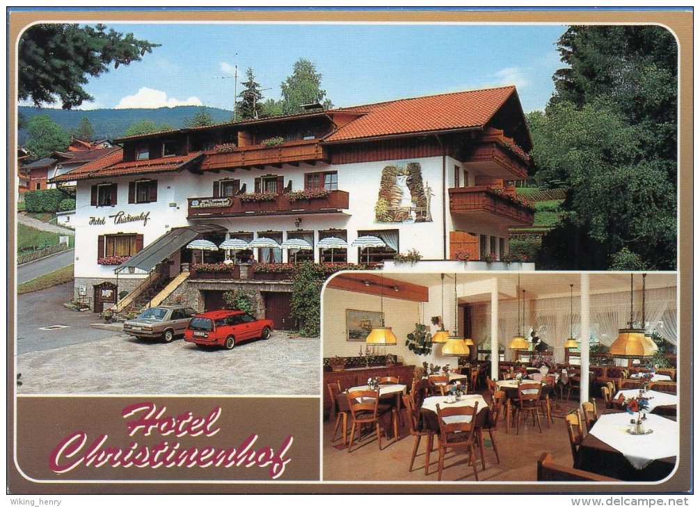 Bodenmais - Hotel Christinenhof - Bodenmais