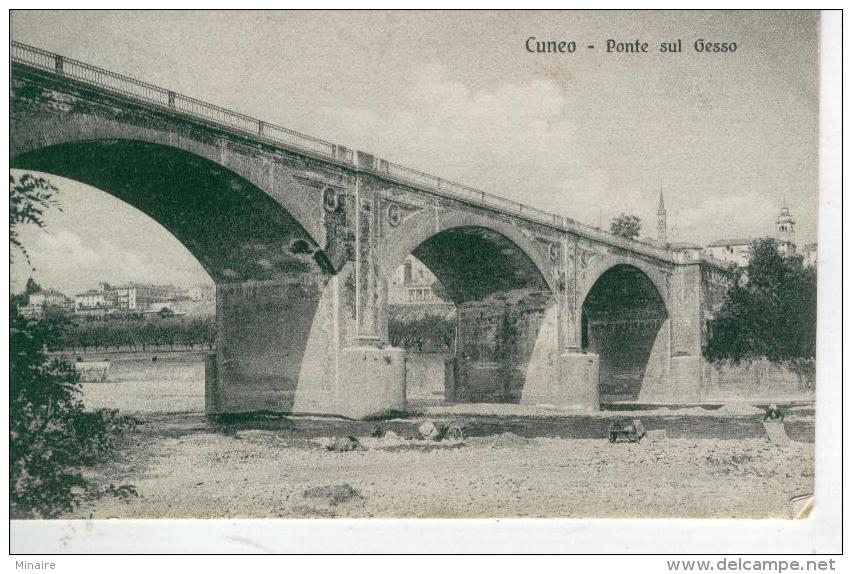 CUNEO Ponte Sul Gesso - 1903- Bon état- 2 Scans - Cuneo