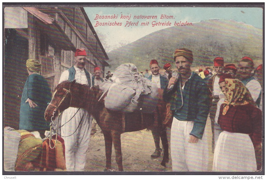 Bosnien Pferde - Yougoslavie