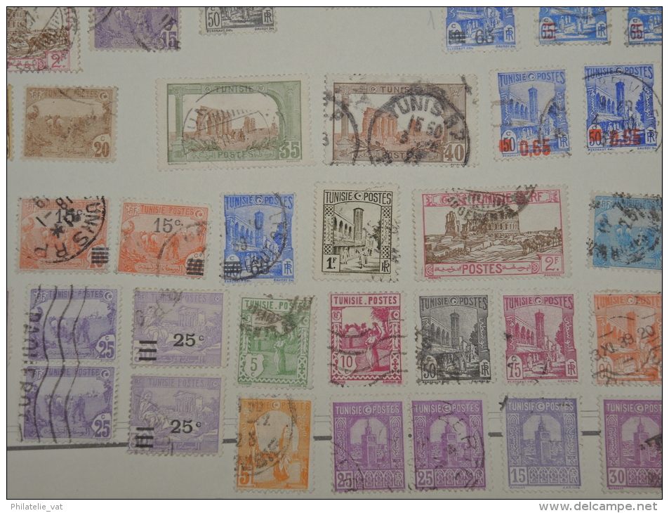 FRANCE - TUNISIE - Collection sur feuilles oblitérées - A voir absolument - Trés propre - Lot n° 9665