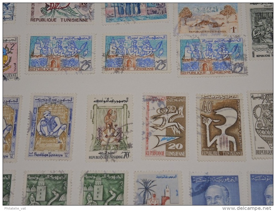 FRANCE - TUNISIE - Collection sur feuilles oblitérées - A voir absolument - Trés propre - Lot n° 9665