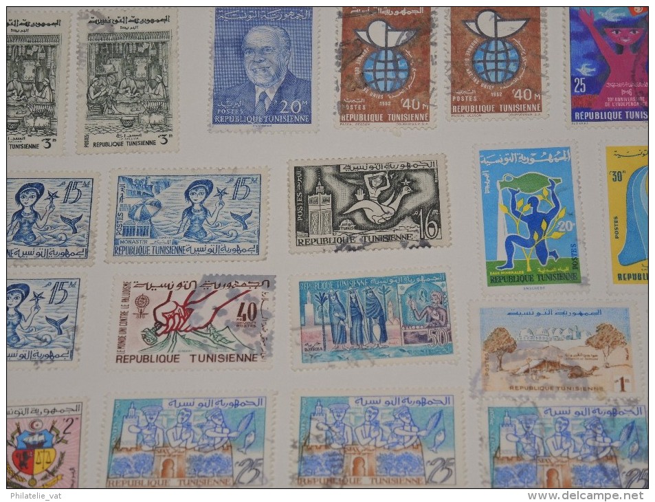 FRANCE - TUNISIE - Collection sur feuilles oblitérées - A voir absolument - Trés propre - Lot n° 9665