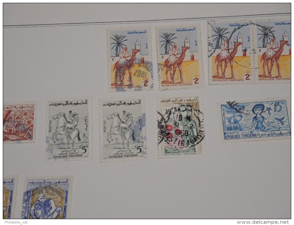 FRANCE - TUNISIE - Collection sur feuilles oblitérées - A voir absolument - Trés propre - Lot n° 9665