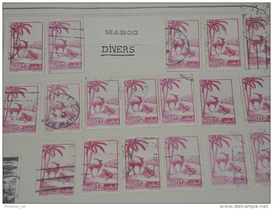 FRANCE - MAROC - Collection sur feuilles oblitérées - A voir absolument - Trés propre - Lot n° 9666