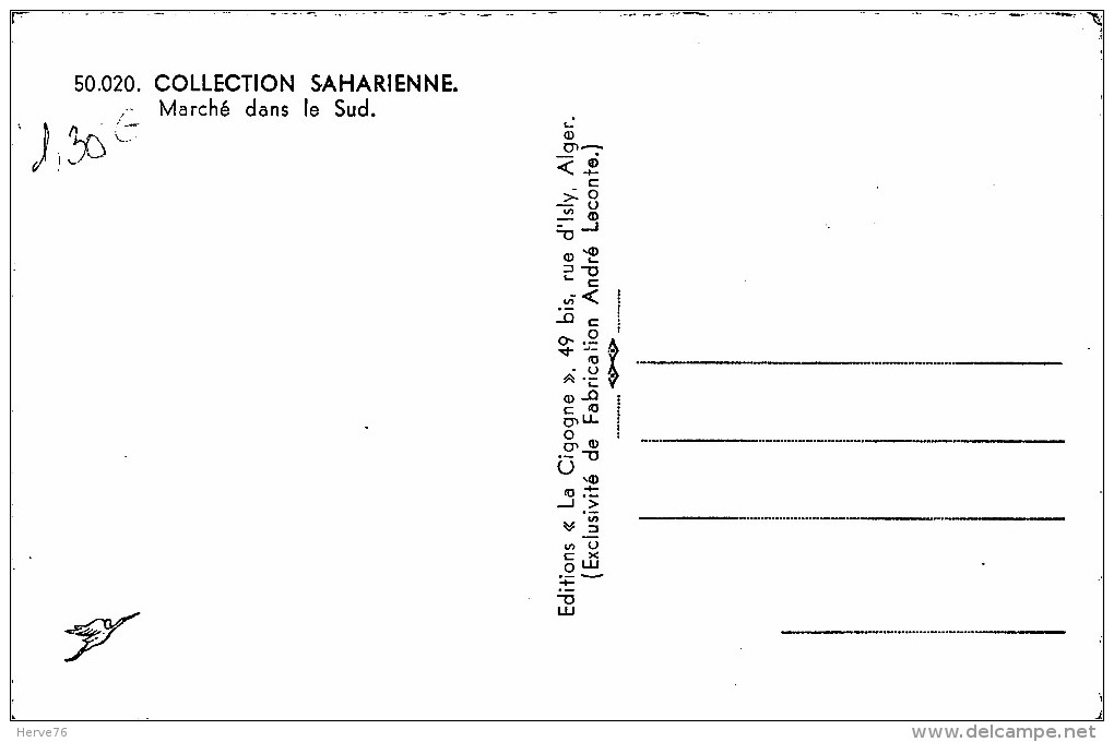 ALGERIE - Marché Dans Le Sud - CPSM - Other & Unclassified