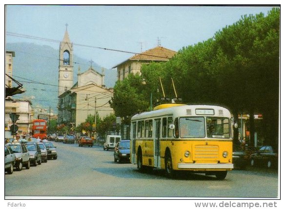 Filobus 014 TEP Parma  Urbano Autobus Pulman Mercedes - Autobus & Pullman