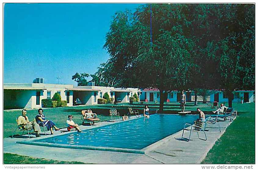 244363-Arizona, Mesa, Elm's Motel, Highway 87, Swimming Pool, Petley Studios No S1369 - Mesa