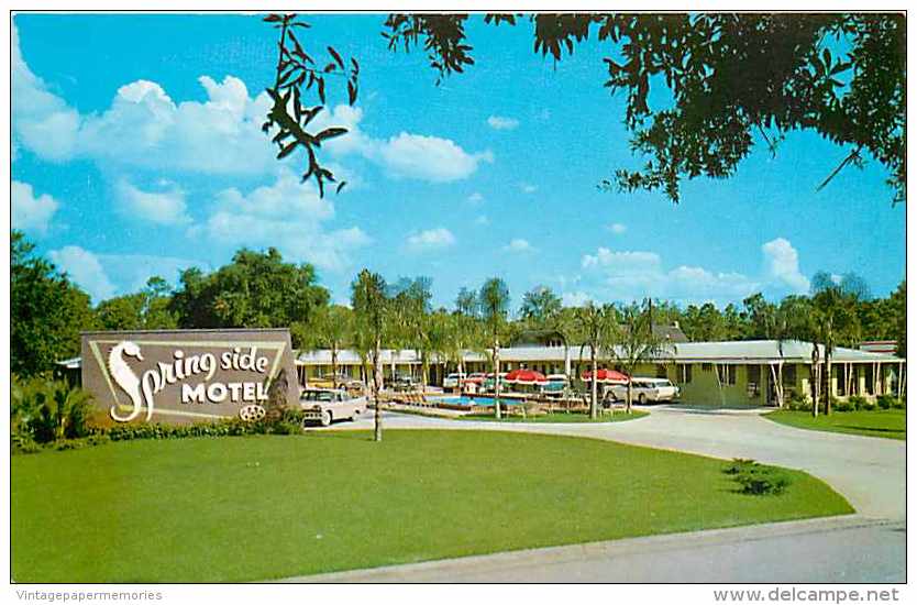 244411-Florida, Silver Springs, Spring Side Motel, Curteichcolor No 7C-K1414 - Silver Springs