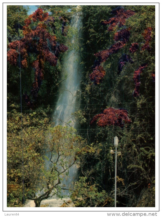 (1519) Australia - QLD - Townsville Waterfall - Townsville
