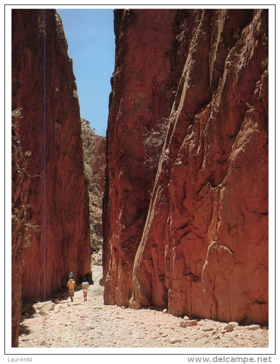 (1519) Australia - NT - Stanley Chasm - The Red Centre