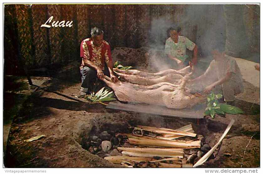 244451-Hawaii, Hawaiian Luau, Cooking Pigs With Imu Oven, Curteichcolor No 726 - Honolulu