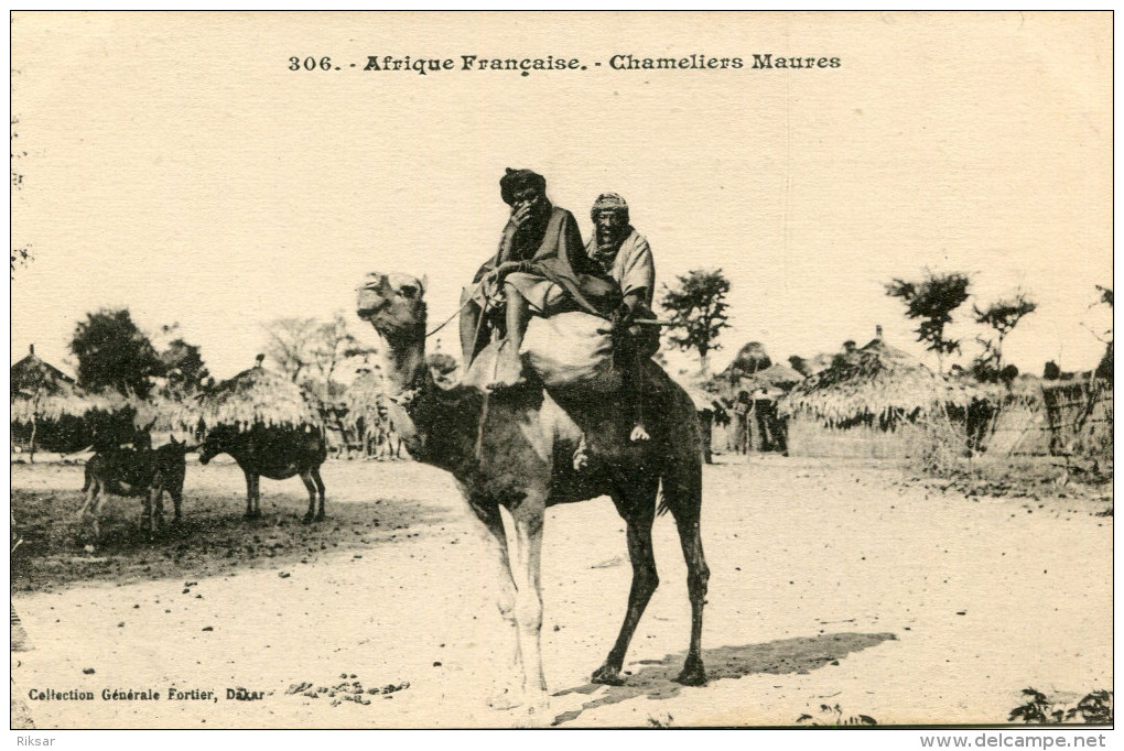 MAURITANIE(TYPE) CHAMEAU - Mauretanien