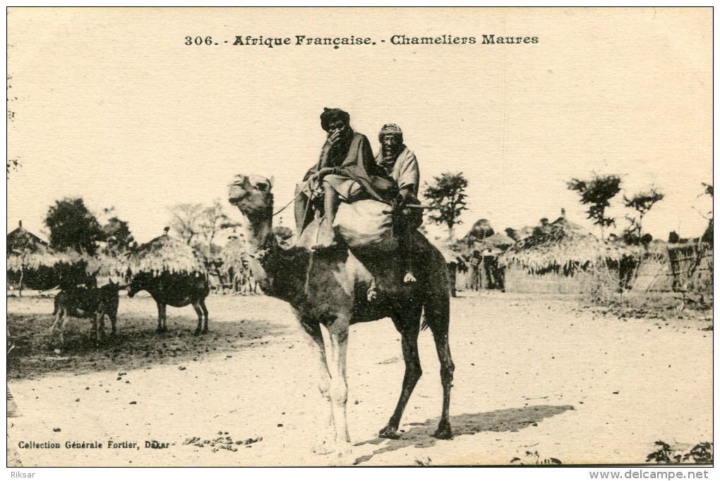 MAURITANIE(TYPE) CHAMEAU - Mauritania