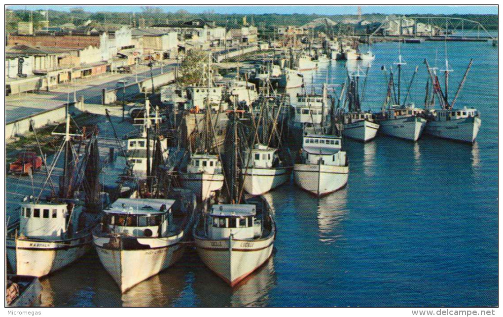 Shrimp Boats, Louisiana - Other & Unclassified