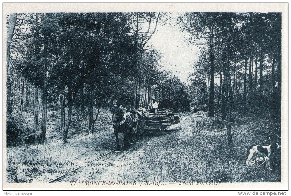 A82 / DEPT 17 CPA RONCE LES BAINS TRAIN FORESTIER NEUVE NON VOYAGEE VOIR DOS - Otros & Sin Clasificación