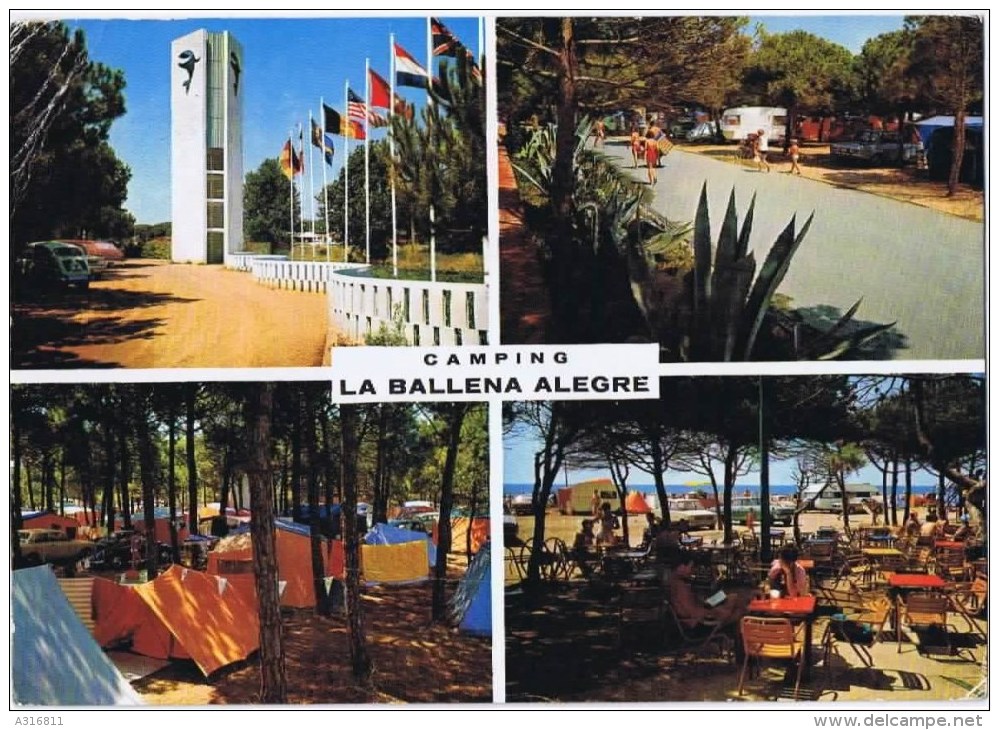 Cpm  CAMPING LA BALLENA ALEGRE - Tarragona