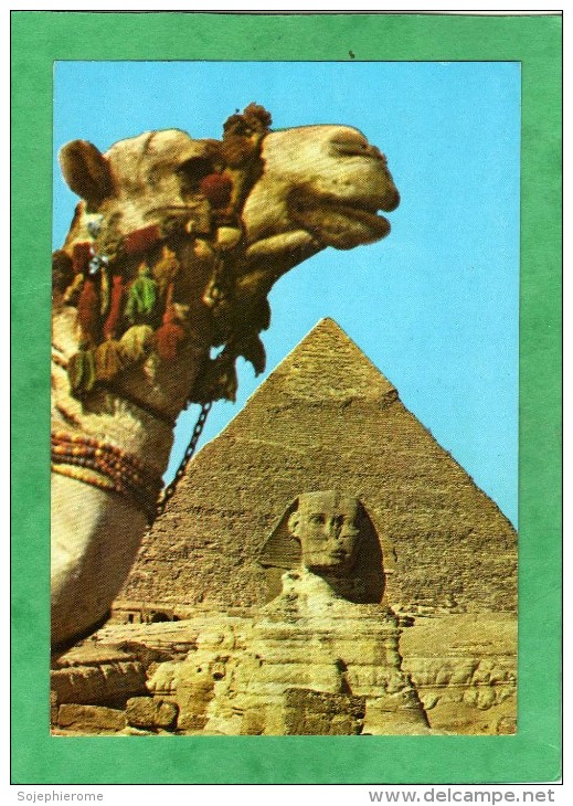 Giza The Sphinx And The Pyramid Of Khafre Gizeh Le Sphinx Et La Pyramide De Khéphren - Gizeh