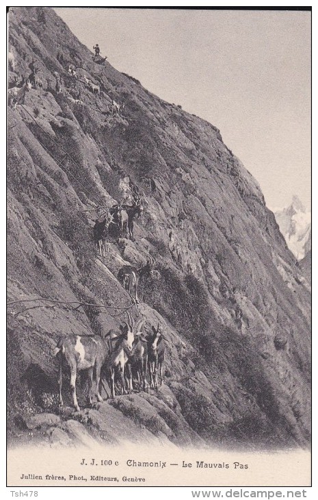 74----CHAMONIX----le Mauvais Pas--voir 2 Scans - Chamonix-Mont-Blanc