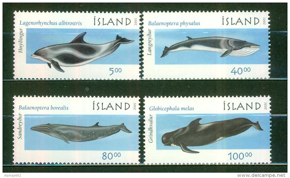 Faune Marine - Cétacés - ISLANDE - Baleine, Dauphin, Globicéphale - N° 917 à 920 ** - 2001 - Neufs