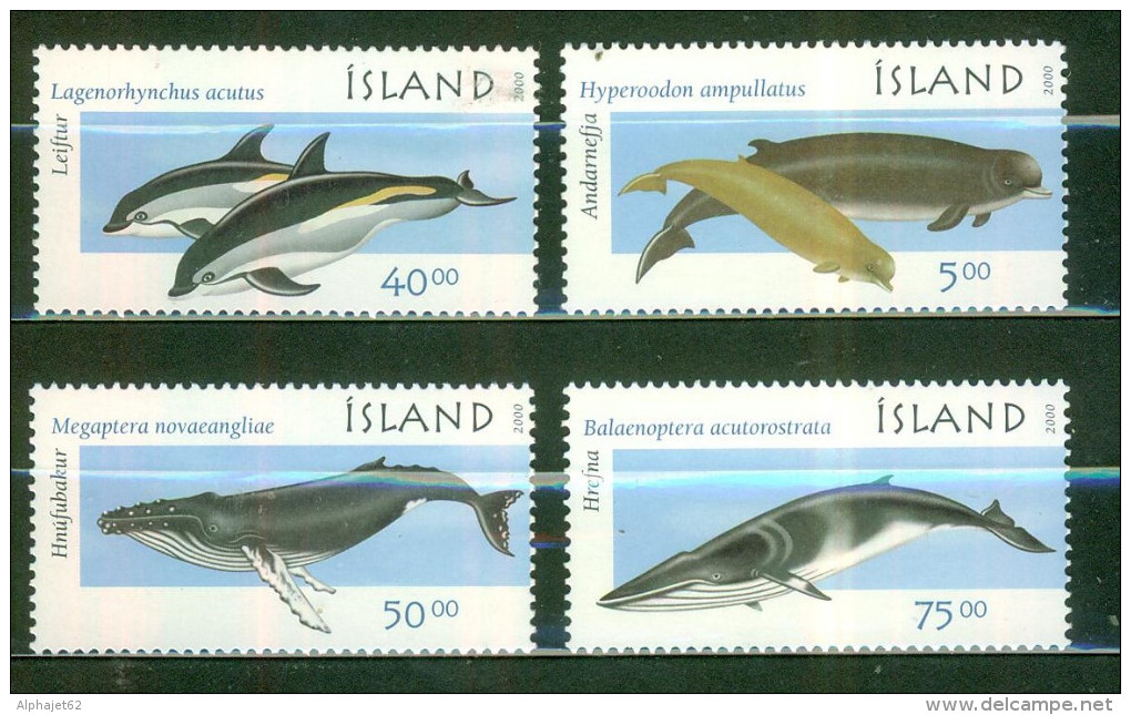 Faune Marine - Cétacés - ISLANDE - Baleine, Dauphin, Mégaptère - N° 917 à 920 ** - 2000 - Unused Stamps