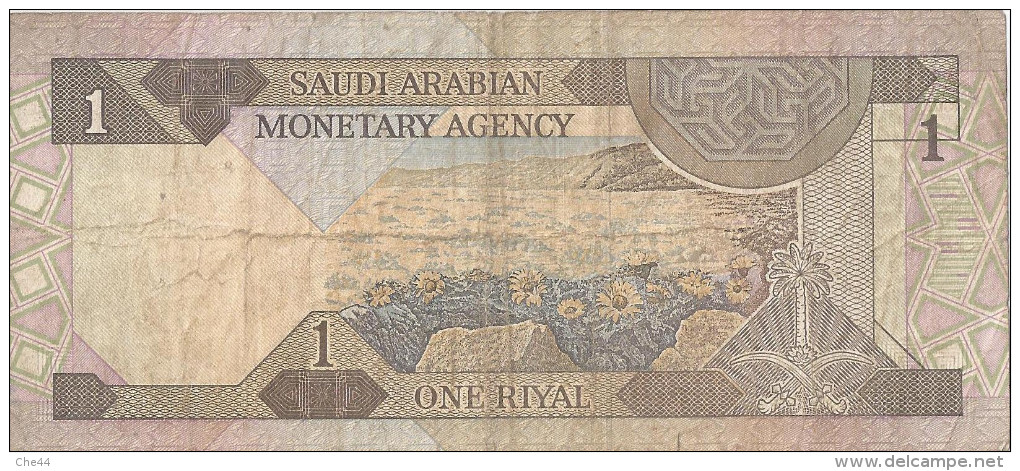 Billet De One Riyal. (Voir Commentaires) - Saudi Arabia