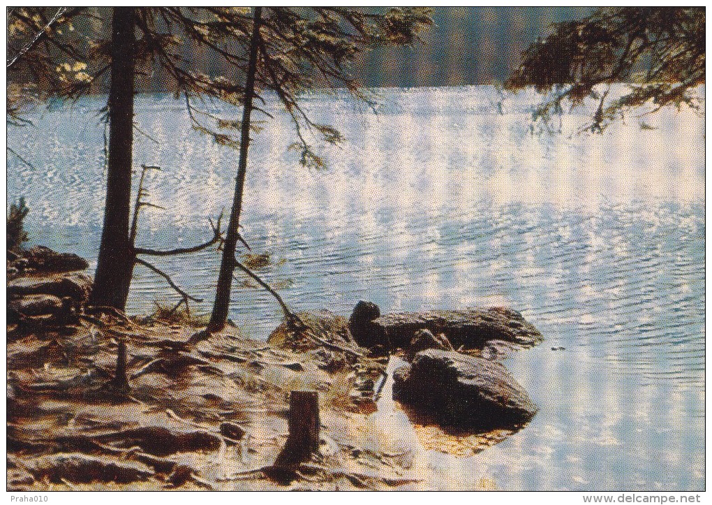 K0450 - Czechoslovakia (196x) Zelezna Ruda (green Color Shift In An Upward Direction); Postcard: Sumava - The Black Lake - Plaatfouten En Curiosa