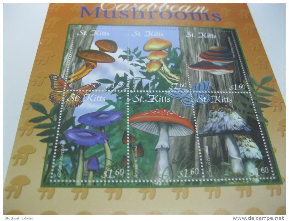 St. Kitts-Mushrooms-Butterflies - Champignons