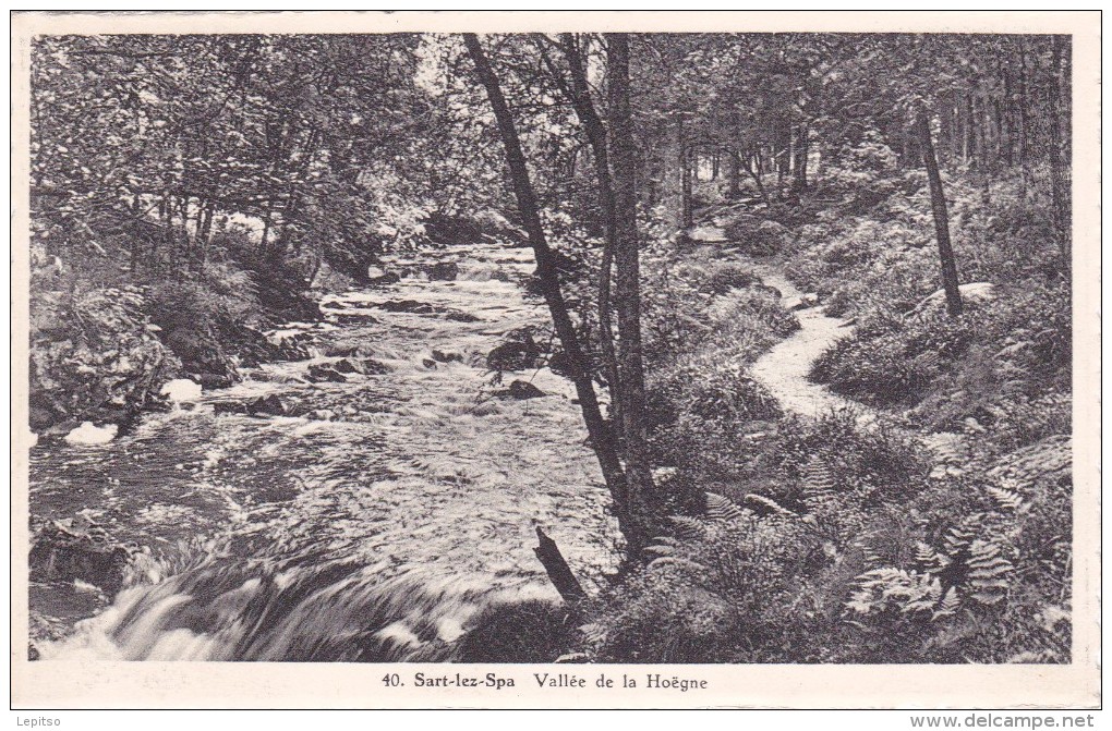 Sart-lez-Spa  "Vallée De La Hoëgne  " Edit Vve Raskin-Potelle -Sart-Station Pas-écrite     Voir Scans - Jalhay