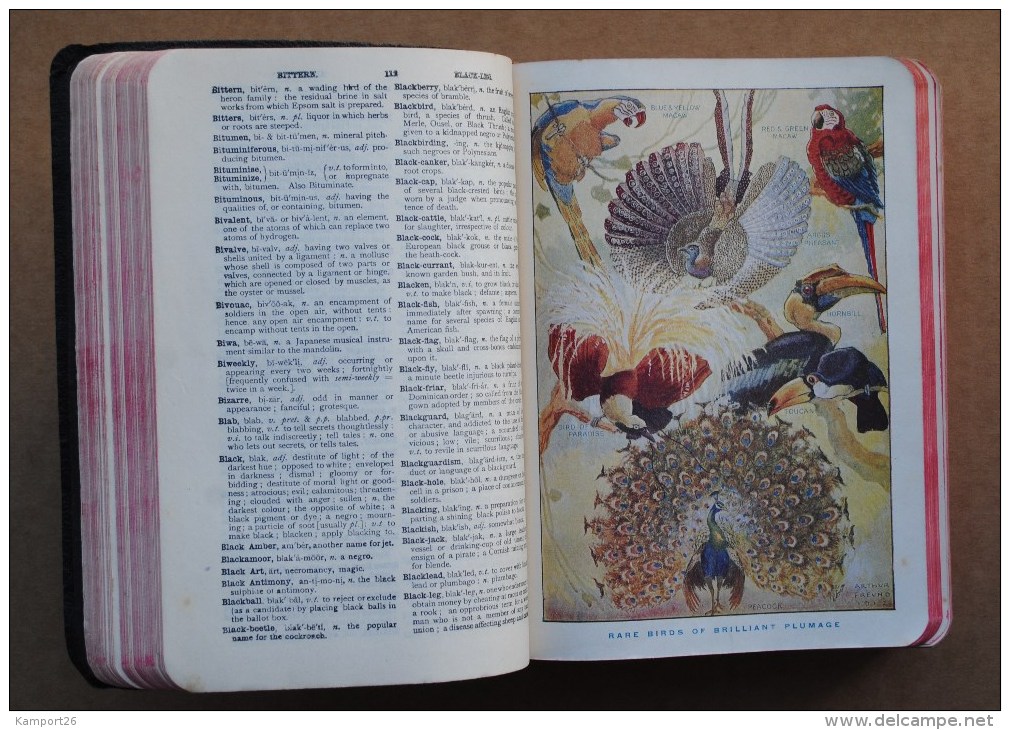 1925 English Dictionary BRITISH EMPIRE UNIVERSITIES Edward D. Price Illustrated Dictionnaire De La Langue Anglaise - Langue Anglaise/ Grammaire