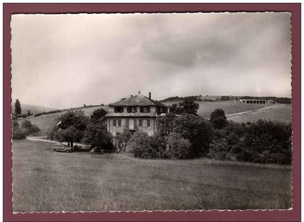 Carte Postale France Obernai Café Restaurant Mont National - Obernai