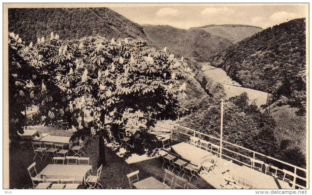 AK Bad Bertrich -Blick V. Kurhotel Marienhütte Ins Tal -Bad Bertrich Bei Koblenz, Bendorf, Sayn, Cochem, Zell - Bad Bertrich