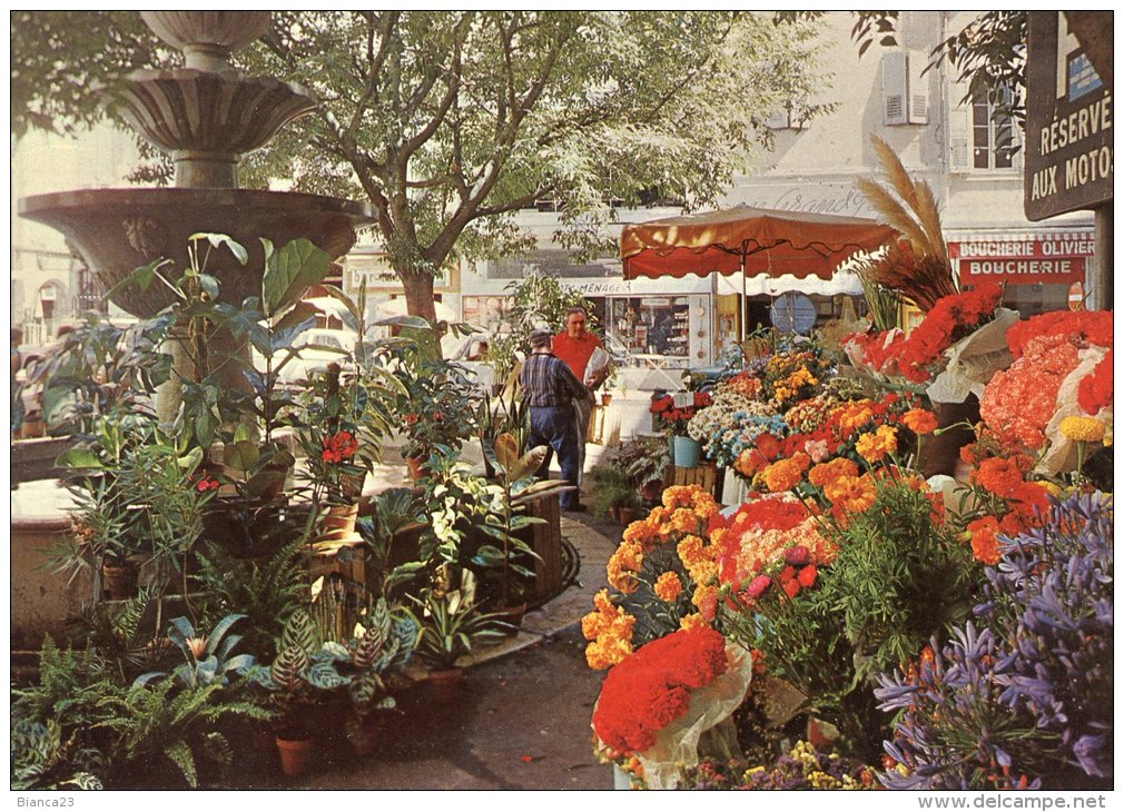 B16416 Grasse, Marché Aux Fleurs - Grasse